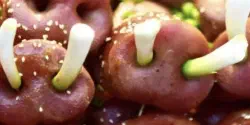 Featured Image for PostgreSQL监控系统Pigsty概述